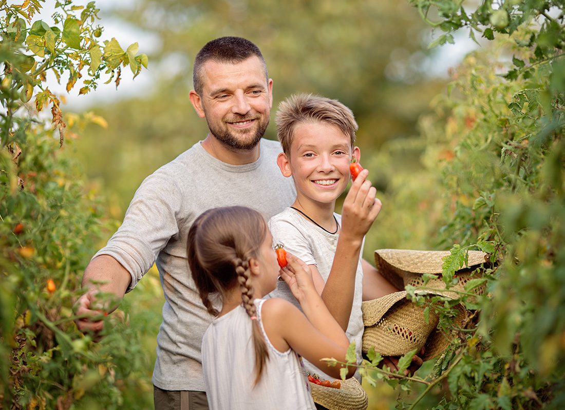 About Our Agency - Father and Two Children Pick Tomatoes at a Farm